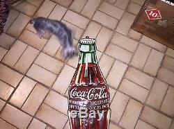 1933 Die Cut Coca Cola Bottle Sign- RARE