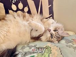 1940s Coca-Cola Bottle Emblem Gold Leaf Tin Sign Coke Button Kay Frame Art Deco