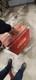 Coca Cola Ice Box Vintage Metal Chest