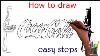 How To Draw The Coca Cola Logo U0026 Coca Cola Bottle Step By Step